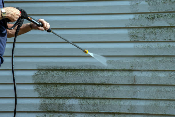 Best Solar Panel Cleaning  in Bylas, AZ
